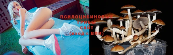 а пвп мука Алексеевка