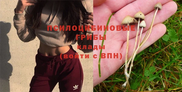 а пвп мука Алексеевка
