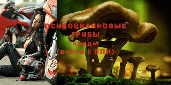 а пвп мука Алексеевка