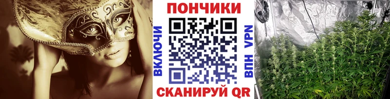 купить наркотик  Инсар  Бошки марихуана гибрид 